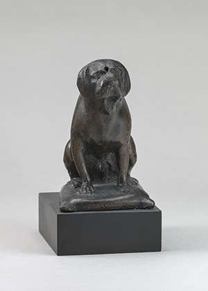 A Dog