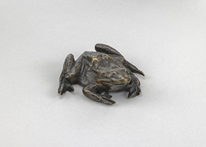 A Toad