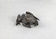 A Toad