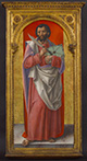 Saint Bartholomew