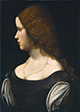 Portrait of a Young Lady