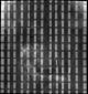 Ecce Homo